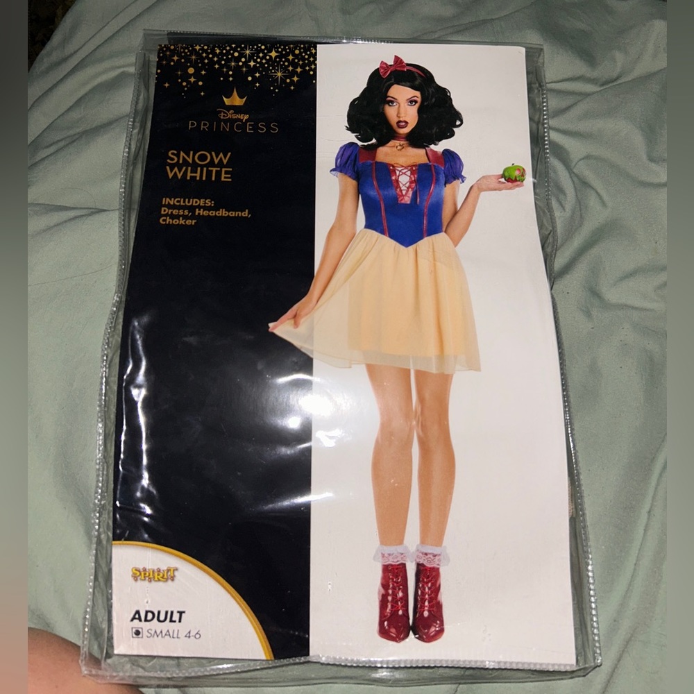 Disney Princess Spirit Halloween Costume - Snow White Adult Small